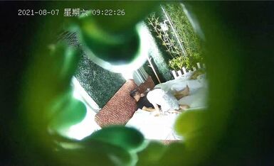 绿叶房 偷情饥渴风骚女秘书开房啪啪 急色骑上去扛腿抽插猛操 叫床太骚